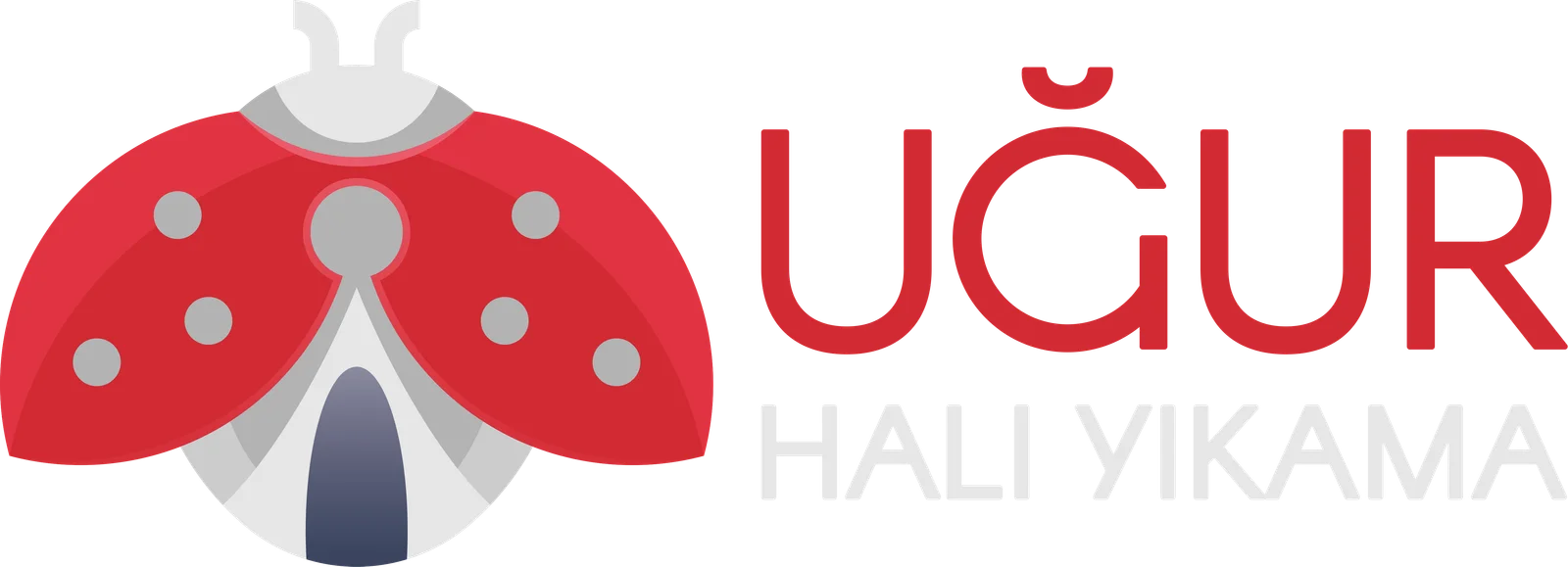 Trabzon Halı Yıkama | Trabzon Koltuk Yıkama | Trabzon Halı Yıkama